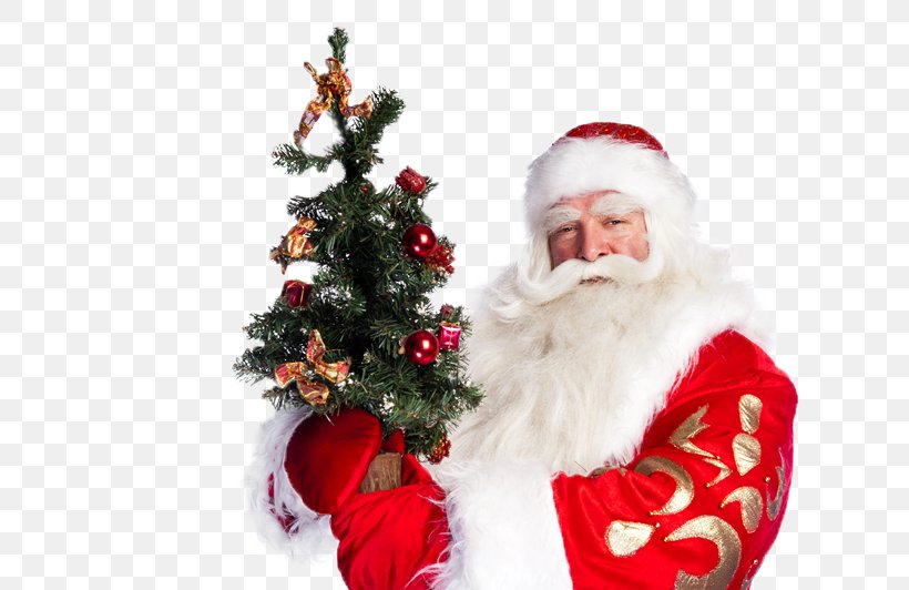 Christmas Tree Santa Claus Christmas Ornament Fir, PNG, 800x532px, Christmas Tree, Christmas, Christmas Decoration, Christmas Ornament, Fictional Character Download Free
