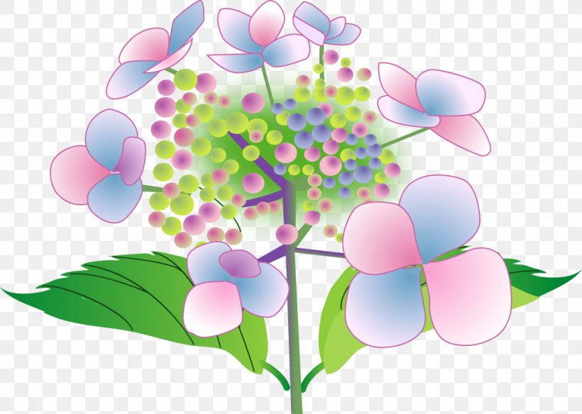 French Hydrangea Hondo-ji Temple Flower アジサイ寺 East Asian Rainy Season, PNG, 1008x718px, French Hydrangea, Blossom, Branch, East Asian Rainy Season, Flora Download Free