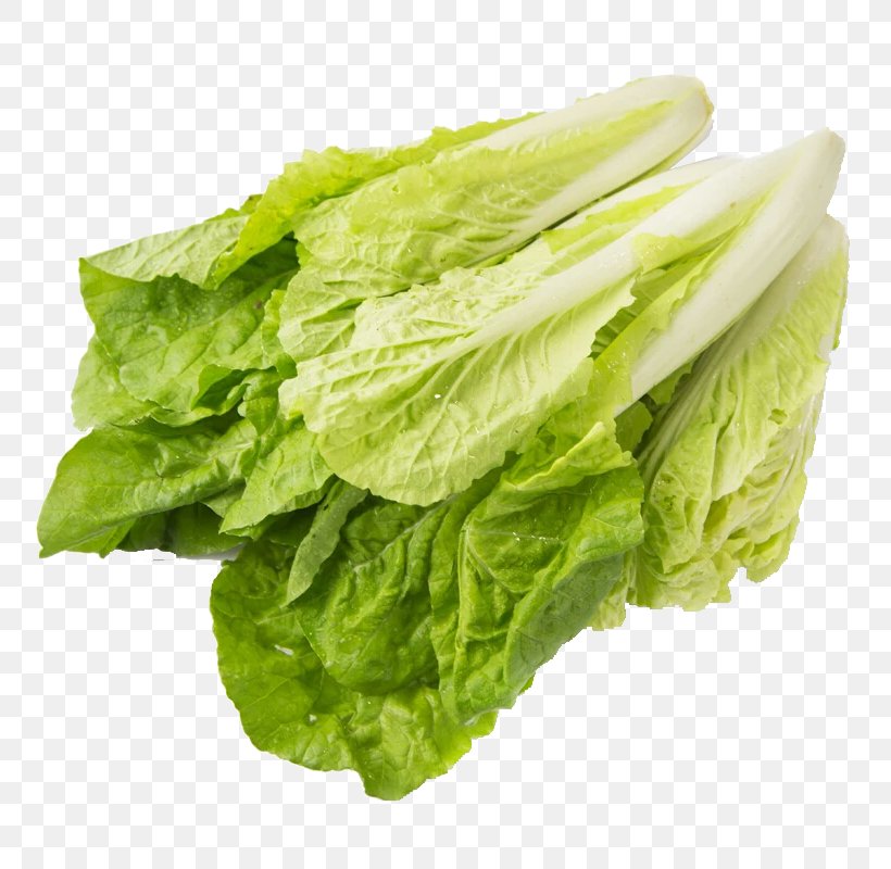 Organic Food Chinese Cabbage Choy Sum Leaf Vegetable, PNG, 800x800px, Organic Food, Bok Choy, Cabbage, Celery, Celtuce Download Free