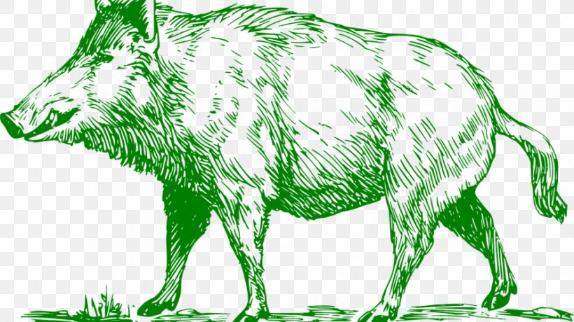 Common Warthog Boar Hunting Domestic Pig Clip Art, PNG, 890x500px, Common Warthog, American Black Bear, Animal Figure, Boar Hunting, Bowhunting Download Free