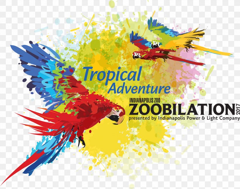 Indianapolis Zoo Macaw Zoobilation, PNG, 2955x2330px, Macaw, Advertising, Beak, Bird, Drawing Download Free