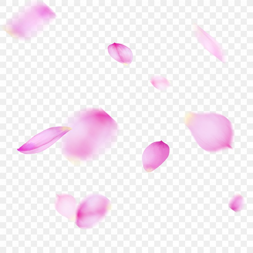 Pink Petal Violet Magenta Heart, PNG, 2000x2000px, Pink, Flower, Heart, Magenta, Petal Download Free