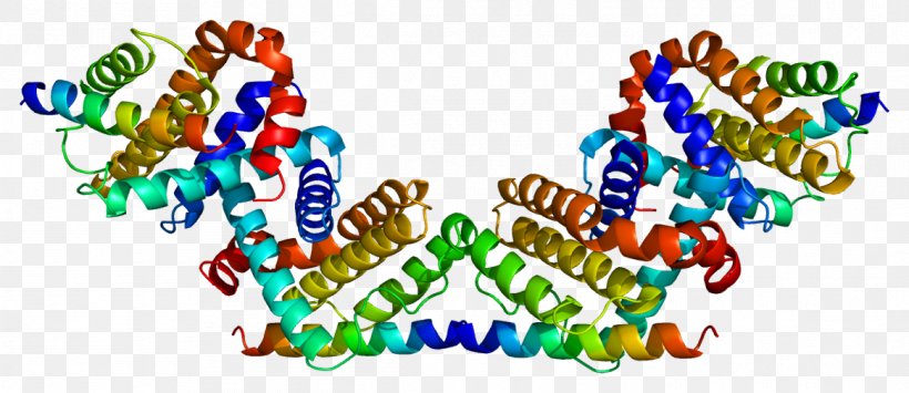 BECN1 Protein Phosphoinositide 3-kinase Bcl-2 Gene, PNG, 1165x505px, Watercolor, Cartoon, Flower, Frame, Heart Download Free