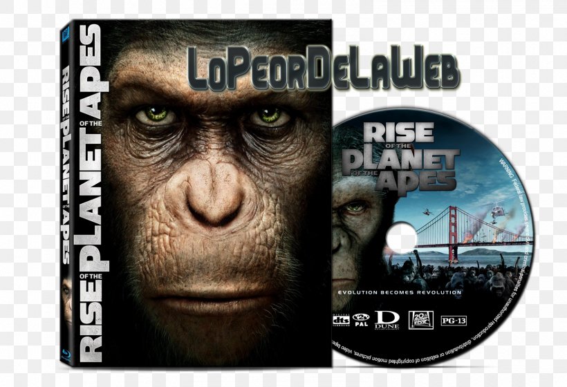 Caesar Film Blu-ray Disc Planet Of The Apes El Planeta De Los Simios, PNG, 1581x1080px, 2011, Caesar, Bluray Disc, Conquest Of The Planet Of The Apes, Dawn Of The Planet Of The Apes Download Free