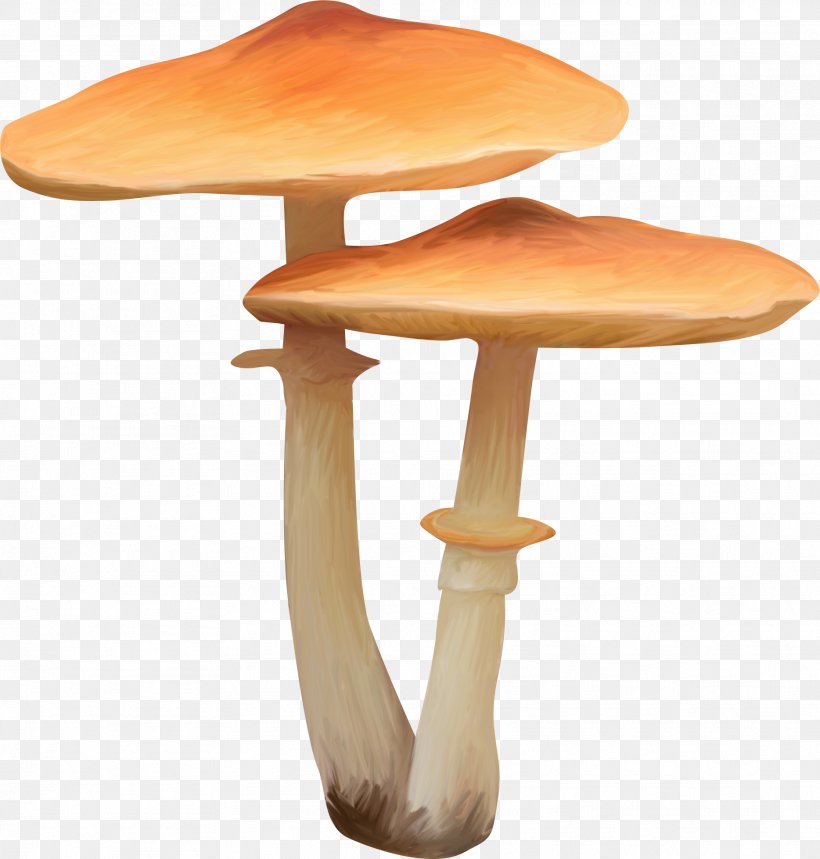 Mushroom, PNG, 1868x1957px, Mushroom, Furniture, Orange, Outdoor Table, Table Download Free