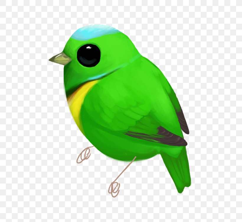 Beak Finch Parrot Feather, PNG, 500x750px, Beak, Bird, Feather, Finch, Green Download Free