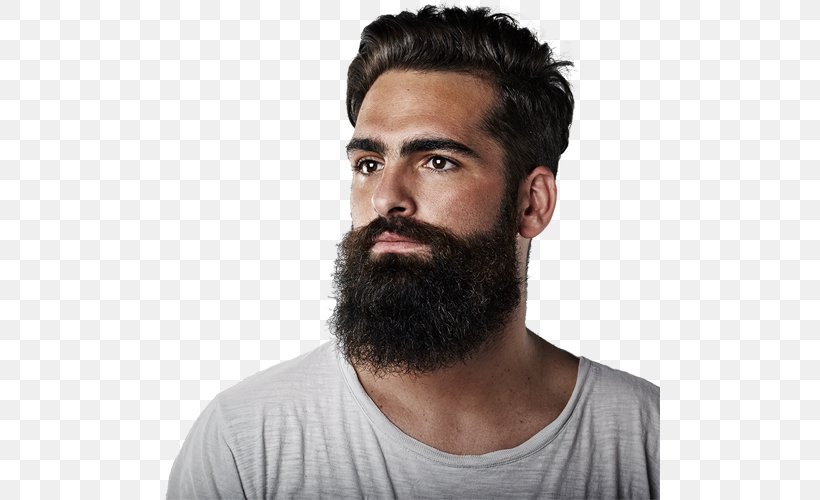 Beard Man Facial Hair Moustache, PNG, 500x500px, Beard, Beauty Parlour, Chin, Eyebrow, Face Download Free