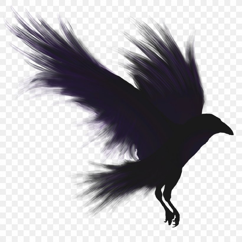 Bird Flight Common Raven American Crow, PNG, 1024x1024px, Bird, American Crow, Beak, Black And White, Common Raven Download Free