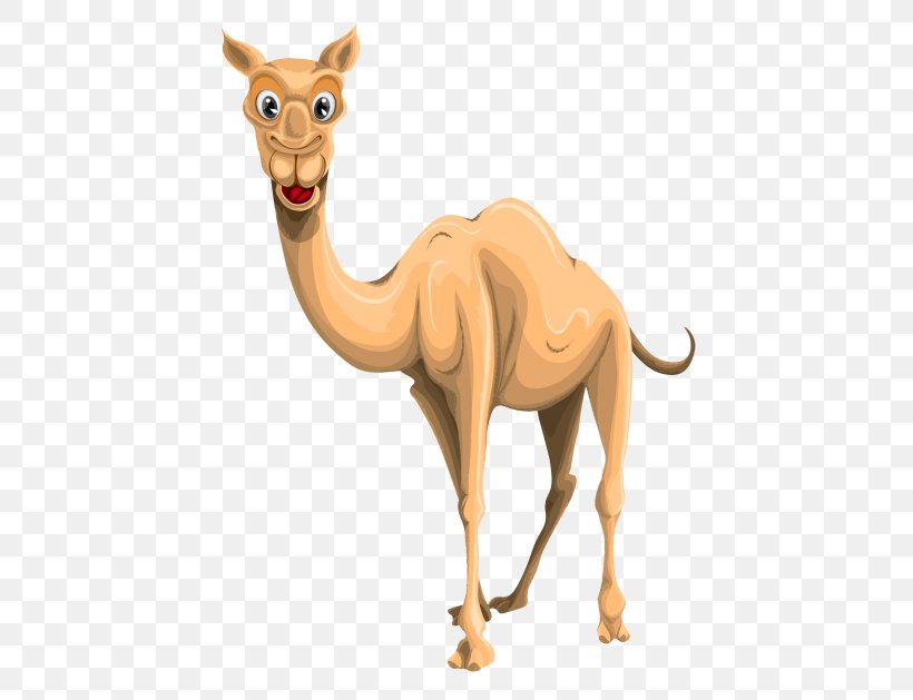 Camel Transparency Clip Art Image, PNG, 480x629px, Camel, Animal Figure, Arabian Camel, Camel Like Mammal, Mammal Download Free