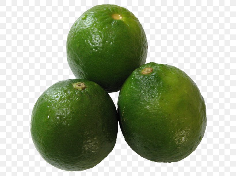 Key Lime Lemon Citron Tangelo, PNG, 640x613px, Lime, Bitter Orange, Calamondin, Citric Acid, Citron Download Free