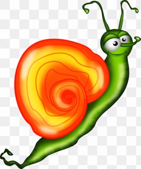 Comic Snail - Snail Escargot Comics Clip Art PNG