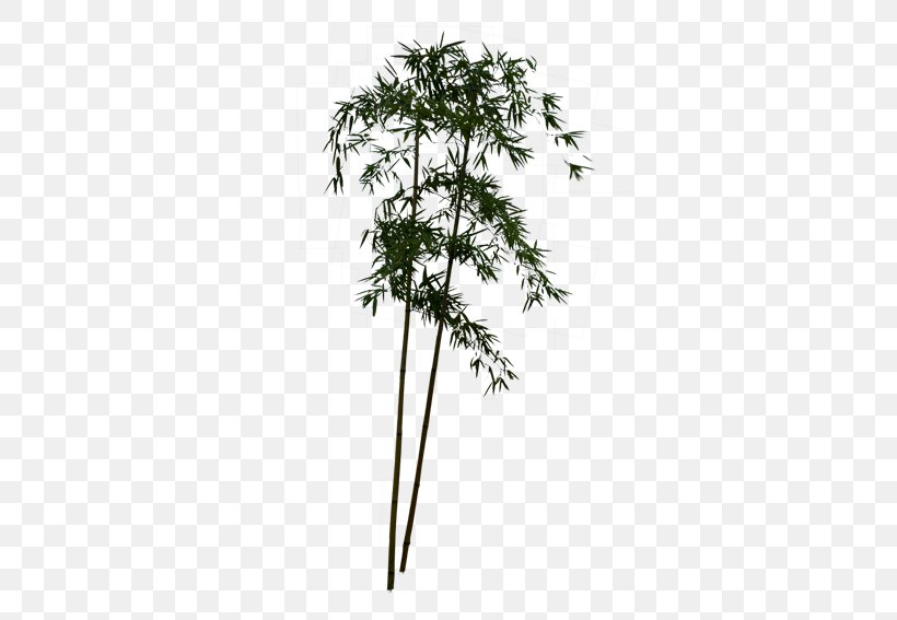 Bamboo Download Pixel, PNG, 567x567px, Bamboo, Bamboo Blossom, Branch, Chinese Painting, Flowerpot Download Free
