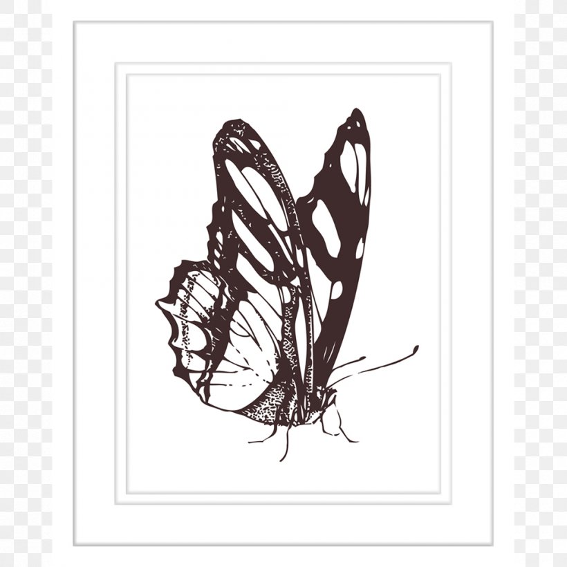 Butterfly Drawing Clip Art, PNG, 1000x1000px, Butterfly, Art, Arthropod, Black And White, Black Swallowtail Download Free