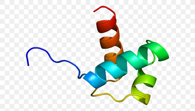 TERF1 PINX1 Chromosome 8 Telomerase Telomeric Repeat Binding Factor (NIMA-interacting) 1, PNG, 652x470px, Watercolor, Cartoon, Flower, Frame, Heart Download Free