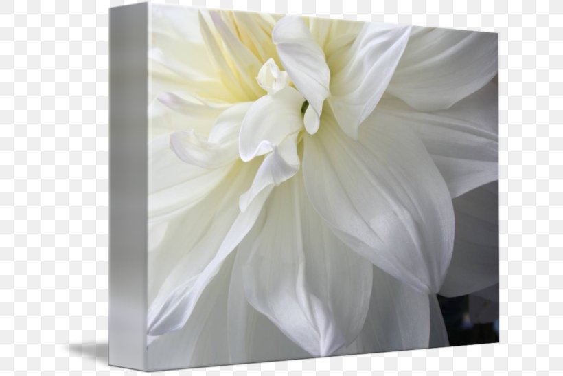 Floral Design Gallery Wrap Art Canvas, PNG, 650x547px, Floral Design, Art, Canvas, Dahlia, Floristry Download Free