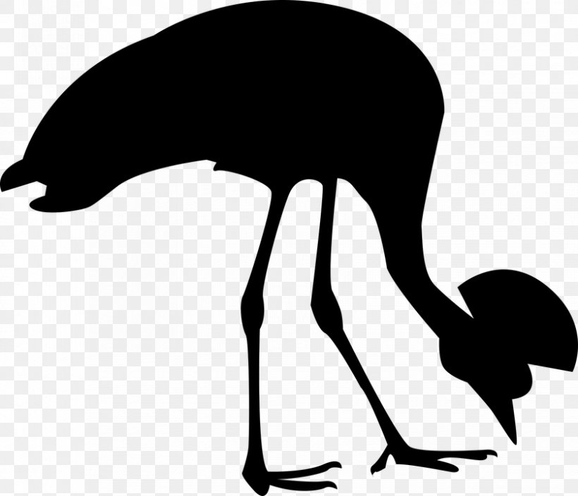 Grey Crowned Crane Bird Heron Silhouette, PNG, 838x720px, Crane, Artwork, Beak, Bird, Black And White Download Free