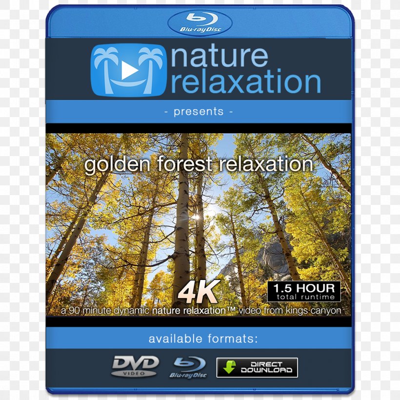 4K Resolution 1080p High-definition Video High-definition Television Display Resolution, PNG, 1000x1000px, Watercolor, Cartoon, Flower, Frame, Heart Download Free