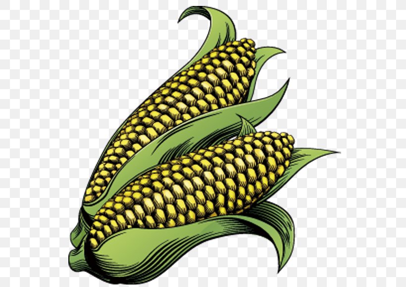 Corn On The Cob Maize Drawing Clip Art, PNG, 650x580px, Corn On The Cob, Commodity, Drawing, Field Corn, Food Download Free