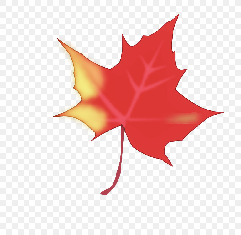 Leaf Tree Maple Leaf / M Symmetry Flower, PNG, 732x800px, Leaf, Biology, Flower, Geometry, Maple Leaf M Download Free