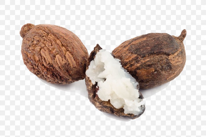 Shea Butter Vitellaria Nut Oil, PNG, 1778x1185px, Shea Butter, Butter, Cocoa Butter, Commodity, Cosmetics Download Free