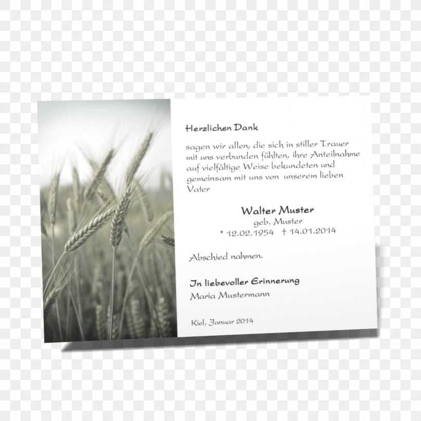 Technology Sonja Smith Funeral Group (Pty) Ltd, Centurion Branch Wheat Nature, PNG, 1200x1200px, Technology, Advertising, Brochure, Crop, Division Download Free