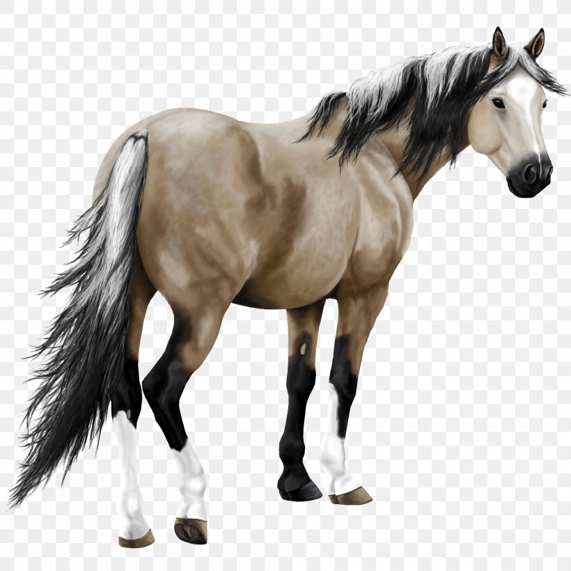 American Paint Horse Arabian Horse Thoroughbred Marwari Horse Howrse, PNG, 2000x2000px, American Paint Horse, Animal Figure, Arabian Horse, Bridle, Chestnut Download Free