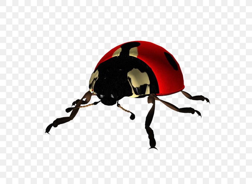Beetle Clip Art Coccinella The Ladybug, PNG, 600x600px, Beetle, Arthropod, Coccinella, Digital Image, Image File Formats Download Free