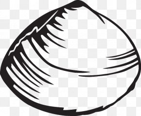 Seashell - Clam Clip Art Illustration Vector Graphics Image PNG