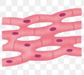 Cell - Therapy Fascia Tachibananaikajunkankinaika Clinic Skin Disease PNG