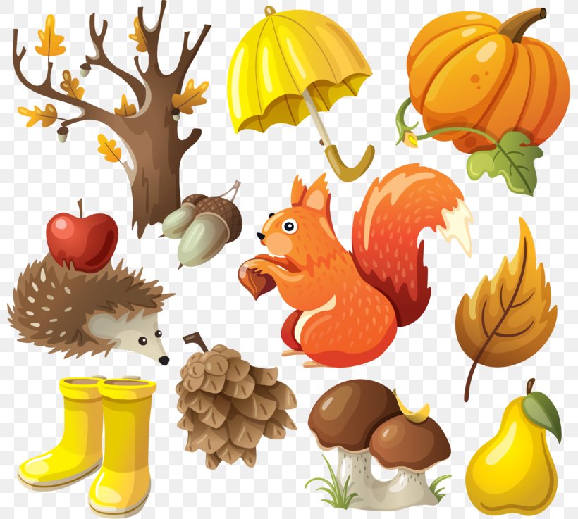 Autumn Season Clip Art, PNG, 800x737px, Autumn, Cucurbita, Drawing, Flower, Flowering Plant Download Free