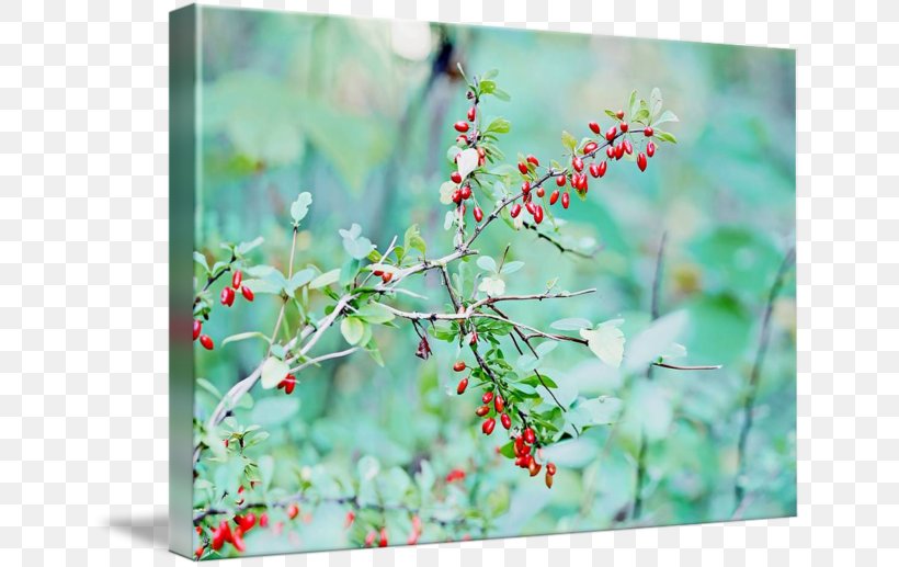 Canvas Print Printing Art Acrylic Paint, PNG, 650x517px, Canvas Print, Acrylic Paint, Art, Barberry, Blossom Download Free