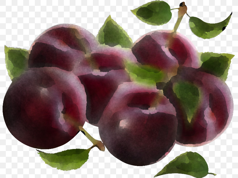 European Plum Fruit Plant Natural Foods Purple, PNG, 801x613px, European Plum, Cherry, Flower, Food, Fruit Download Free