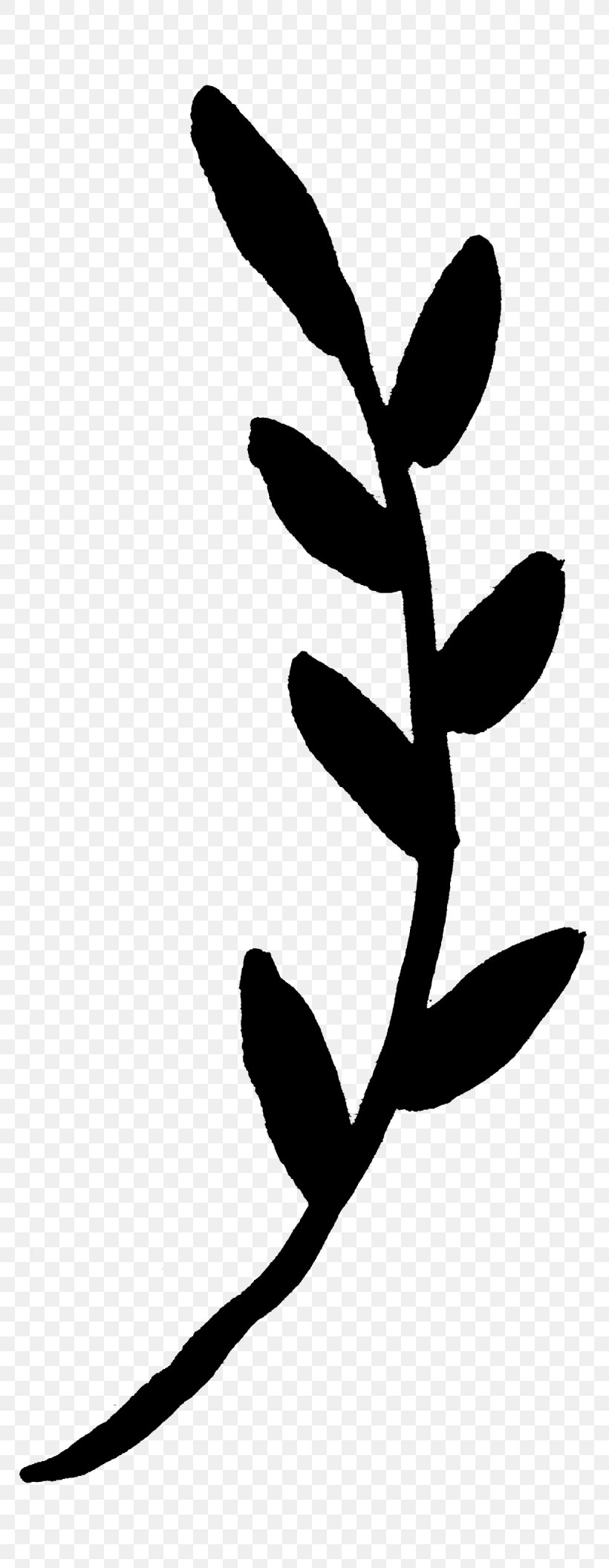 Twig Plant Stem Flower Leaf Clip Art, PNG, 1230x3168px, Twig, Botany, Branch, Design M, Design M Group Download Free