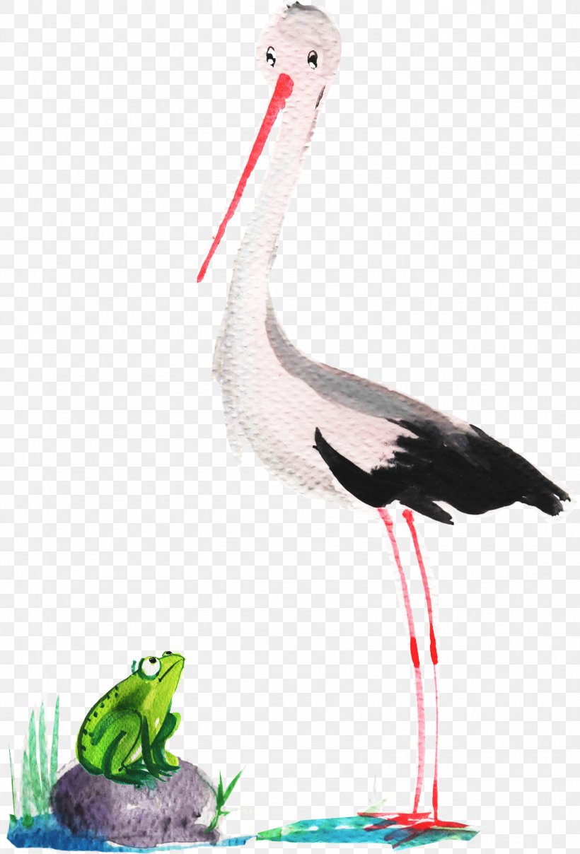 White Stork Bird Crane Beak Neck, PNG, 1593x2347px, White Stork, Beak, Bird, Ciconiiformes, Crane Download Free