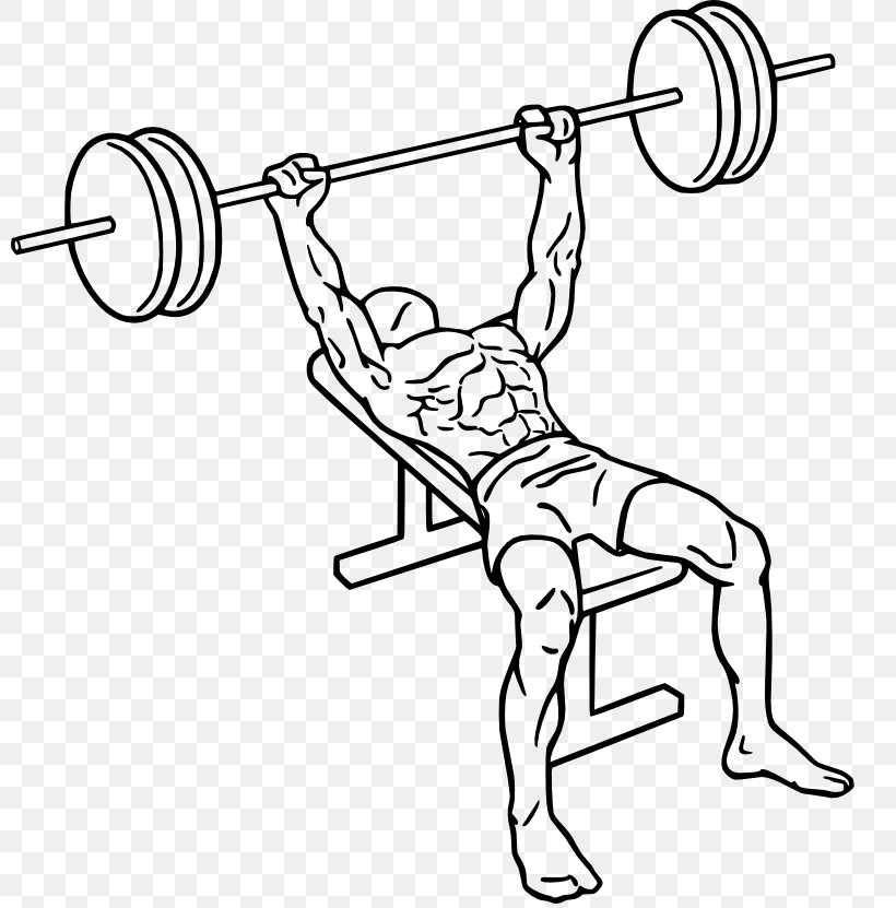 Bench Press Fly Barbell Smith Machine, PNG, 800x831px, Bench Press, Abdomen, Area, Arm, Auto Part Download Free