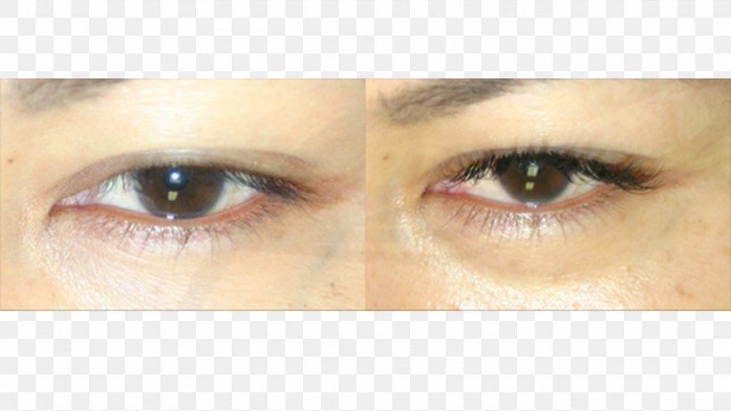 Eyelash Extensions Eye Shadow Mascara Eye Liner Eyebrow, PNG, 1920x1080px, Watercolor, Cartoon, Flower, Frame, Heart Download Free