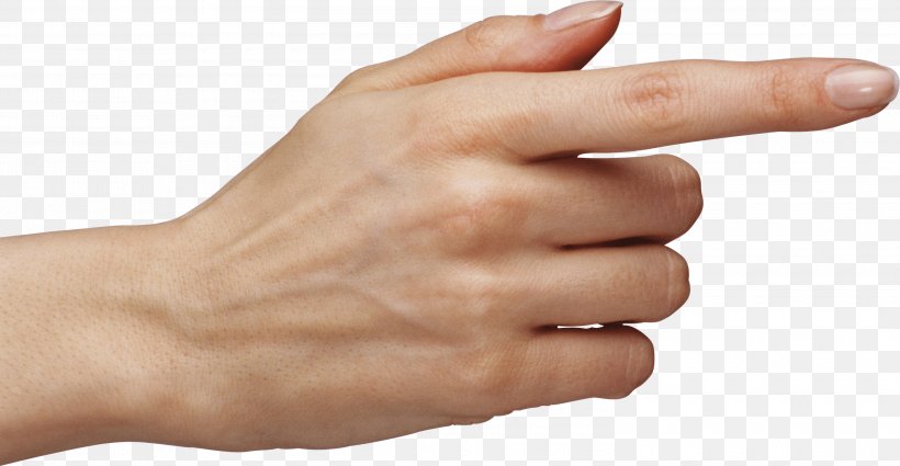 Finger Hand, PNG, 3000x1555px, Finger, Arm, Finger Snapping, Gesture, Hand Download Free