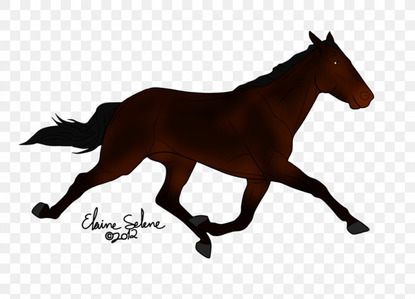 Mustang American Quarter Horse Stallion Foal Pony, PNG, 1024x737px, Mustang, American Quarter Horse, Animal Figure, Black, Bridle Download Free