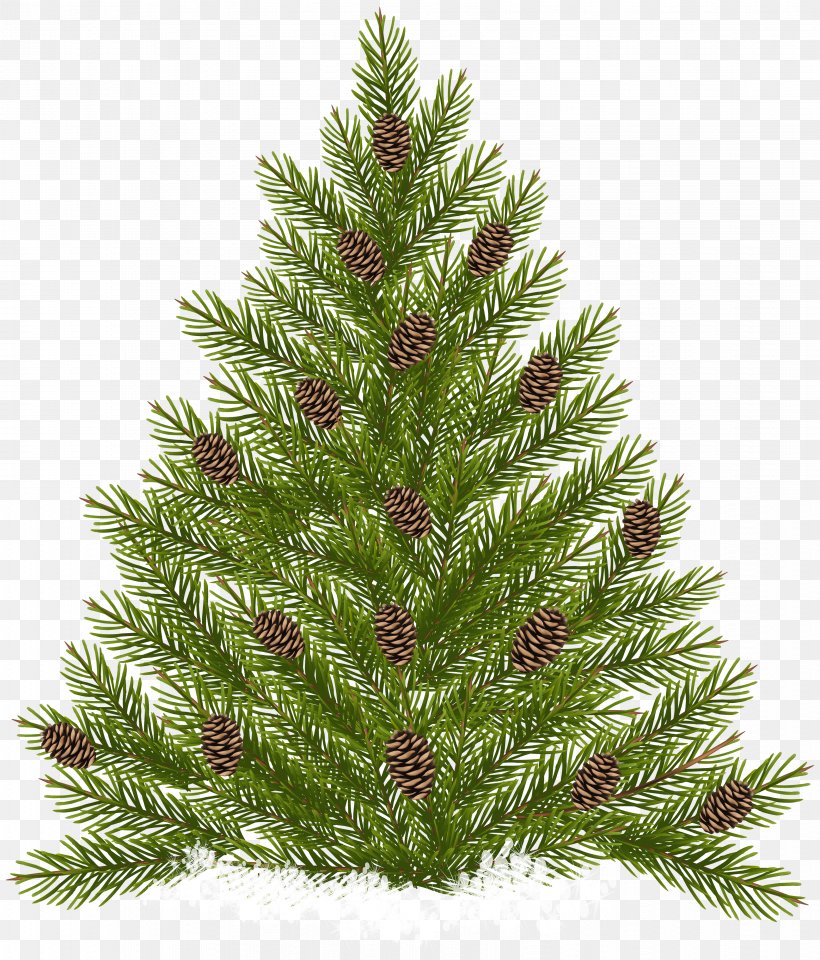 Pine Tree Conifer Cone Pinus Echinata Clip Art, PNG, 3414x4000px, Pine, Christmas, Christmas Decoration, Christmas Ornament, Christmas Tree Download Free