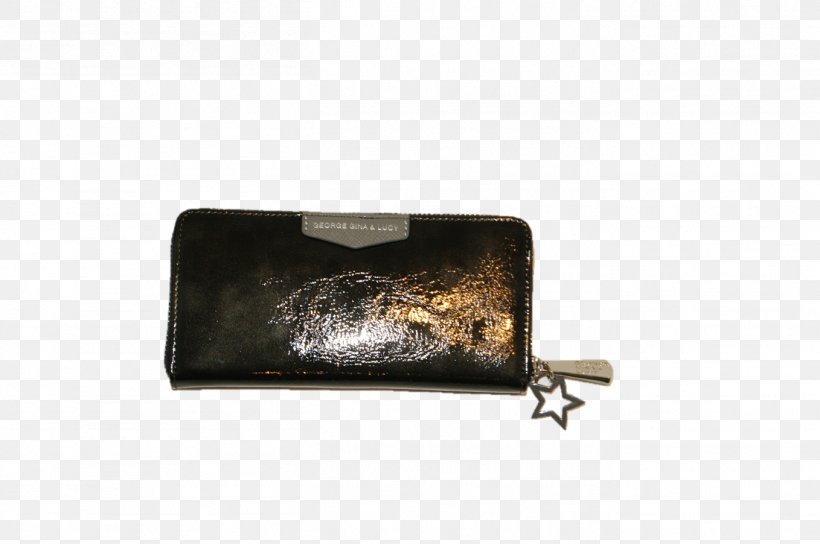 Wallet Coin Purse Metallic Color Brown, PNG, 1358x902px, Wallet, Brown, Coin, Coin Purse, Color Download Free