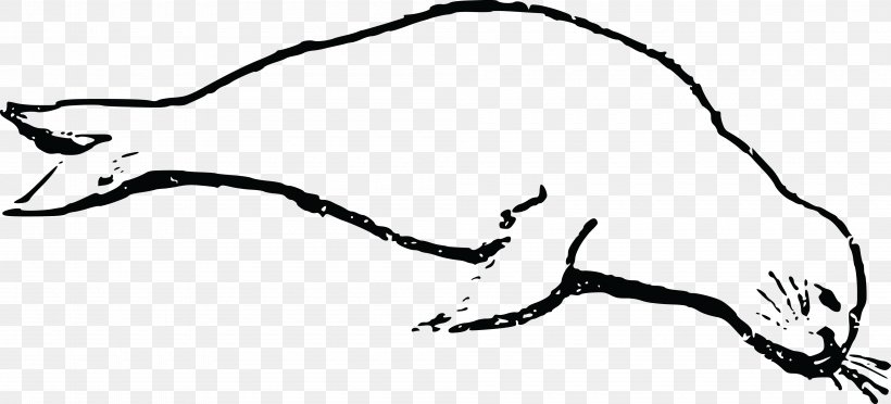 Earless Seal Drawing Clip Art, PNG, 4000x1815px, Earless Seal, Animal, Art, Black And White, Branch Download Free