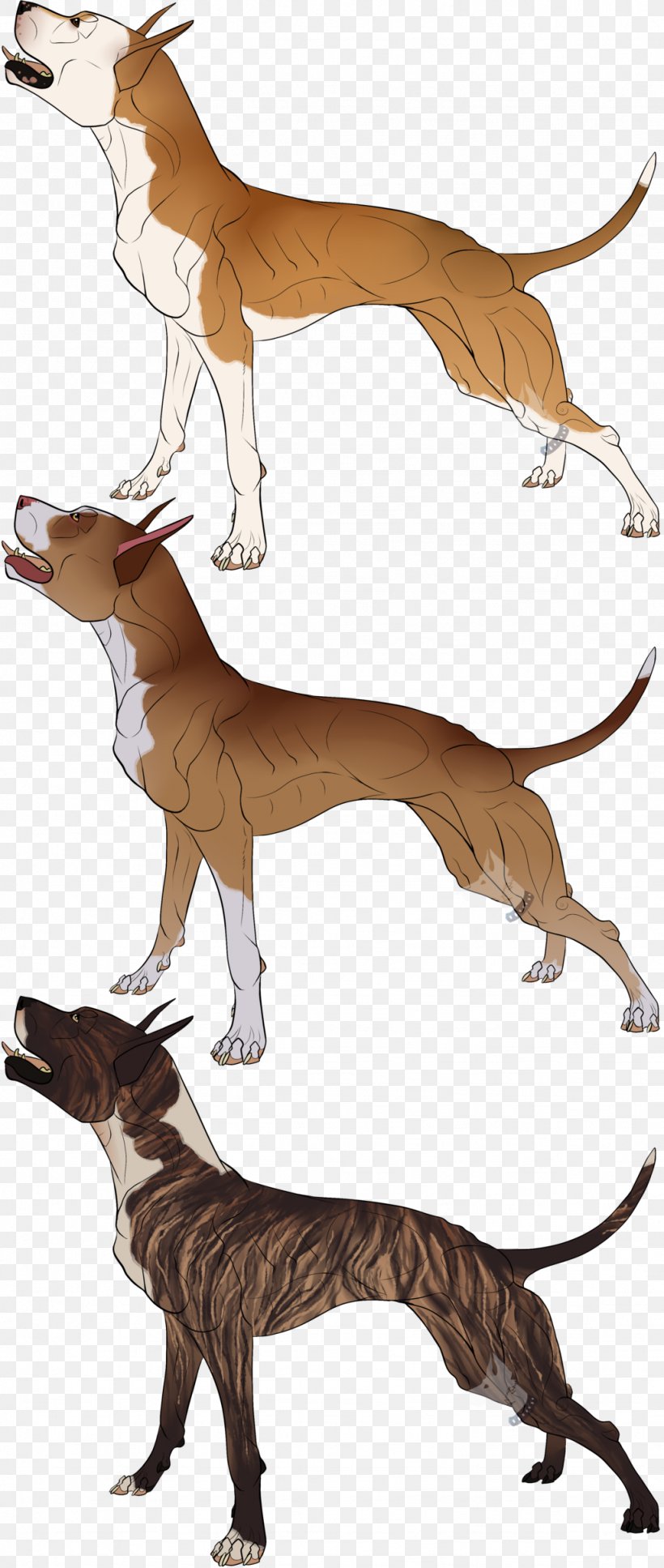 Italian Greyhound Cartoon Character, PNG, 1024x2417px, Italian Greyhound,  Carnivoran, Cartoon, Character, Dog Download Free