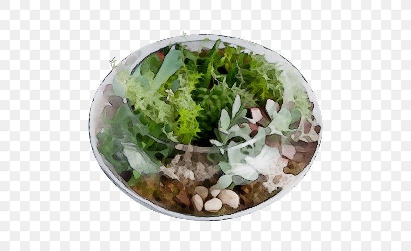 Leaf Plant Flower Plate Food, PNG, 500x500px, Watercolor, Bowl, Flower, Food, Herb Download Free