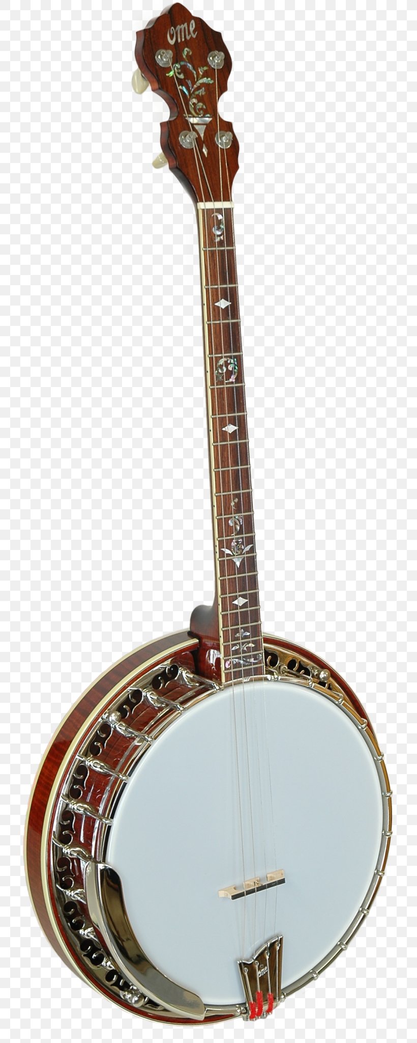 Banjo Guitar Banjo Uke Acoustic-electric Guitar Cavaquinho Tiple, PNG, 761x2048px, Banjo Guitar, Acoustic Electric Guitar, Acoustic Guitar, Acousticelectric Guitar, Banjo Download Free