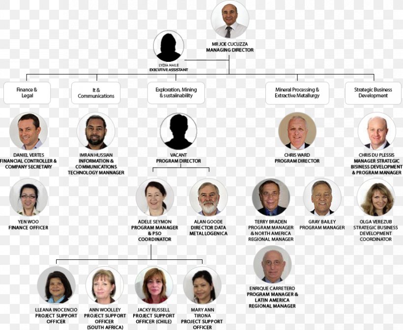 Organizational Chart Organizational Structure Board Of Directors BHP Billiton Ltd., PNG, 826x678px, Organization, Bhp Billiton Ltd, Board Of Directors, Brand, Business Download Free