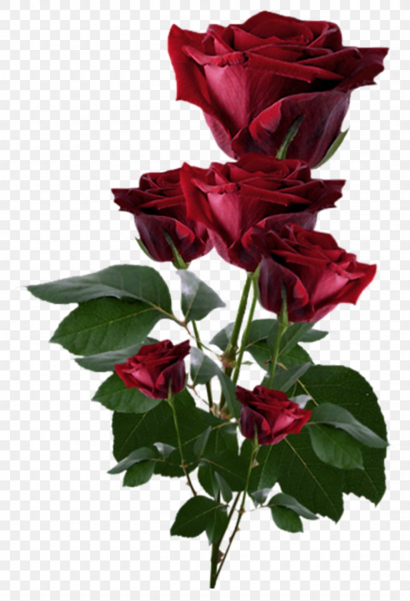 Clip Art Rose Transparency Image, PNG, 1024x1501px, Rose, Anthurium, Artificial Flower, Blue Rose, Bouquet Download Free