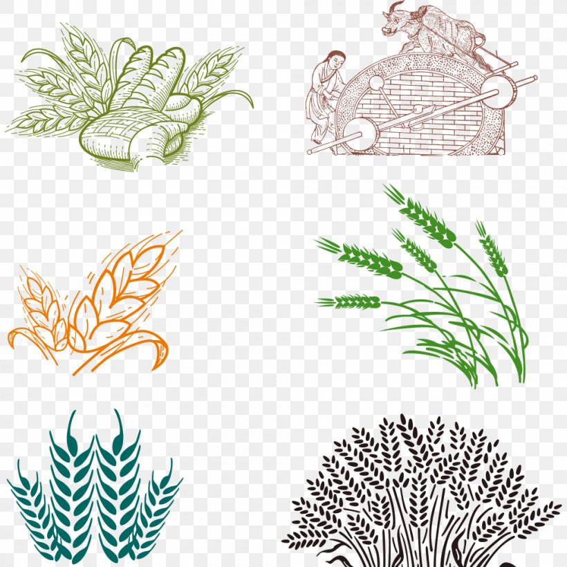Bakery Common Wheat, PNG, 1000x1000px, Bakery, Bread, Common Wheat, Flora, Flower Download Free