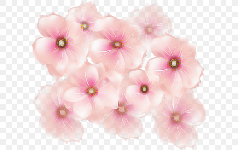 Cherry Blossom, PNG, 600x517px, Pink, Artificial Flower, Blossom, Cherry Blossom, Cut Flowers Download Free