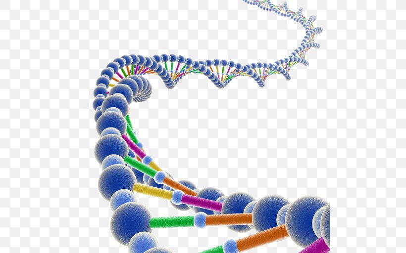 Genetic Testing DNA Molecule RNA Genome, PNG, 512x512px, Genetic Testing, Bead, Body Jewelry, Cell, Dna Download Free