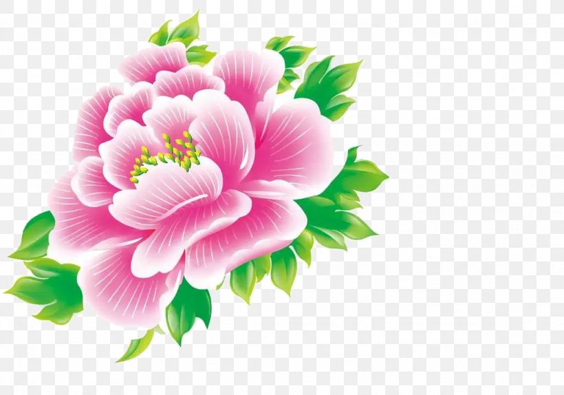 Moutan Peony Floral Design, PNG, 1024x717px, Moutan Peony, Annual Plant, Cut Flowers, Floral Design, Floristry Download Free